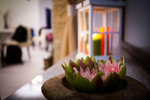 Hostal Pensiunea Almas