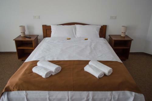 Hostal Pensiune Casa Ampeia