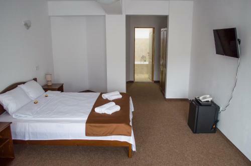Hostal Pensiune Casa Ampeia