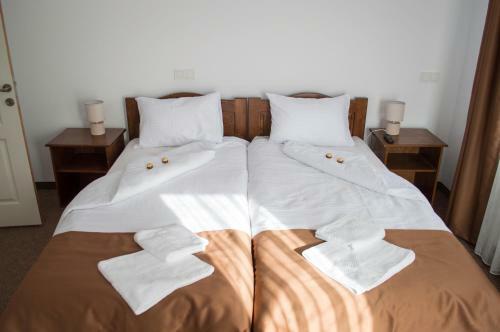 Hostal Pensiune Casa Ampeia