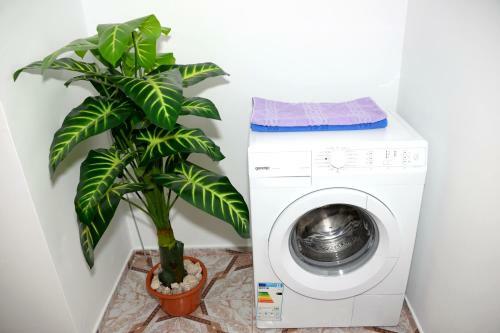 Apartament Rezidential - Alba Iulia