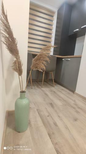 Apartamento Popasu Din Oras