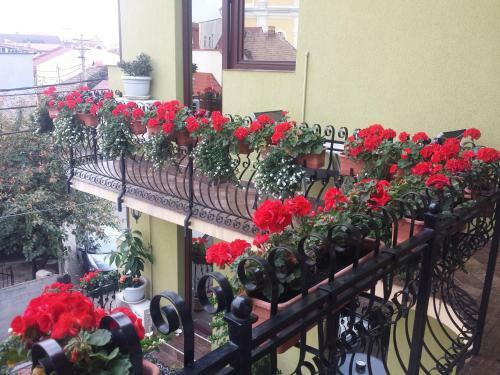 Hostal Pensiunea Ideal