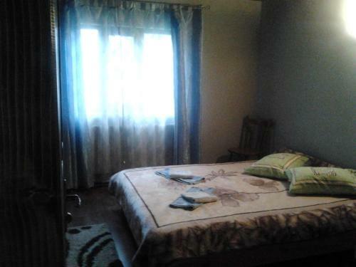Hostal Pensiunea Casa Motilor