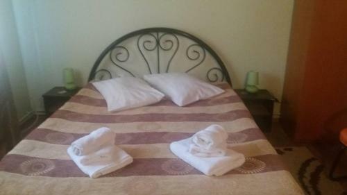 Hostal Pensiunea Casa Motilor