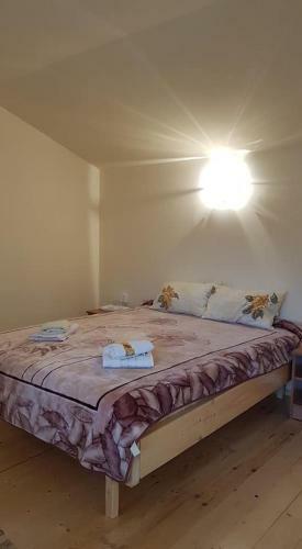 Hostal Pensiunea Casa Motilor