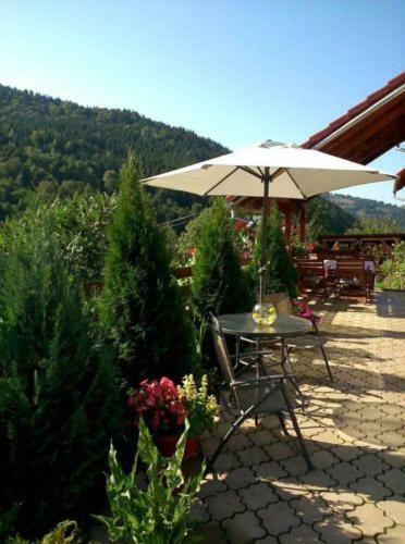 Hostal Pensiunea Casa Motilor