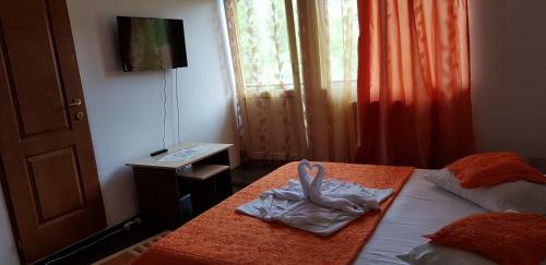 Hostal Pensiunea Casa Beatrice Bran