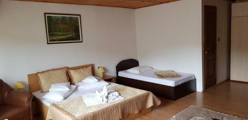 Hostal Pensiunea Casa Beatrice Bran