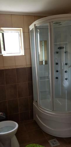 Hostal Pensiunea Casa Beatrice Bran