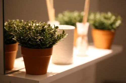 Apartamento Dorobanti Suite