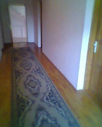 Hostal Vila Elena Si Ionut