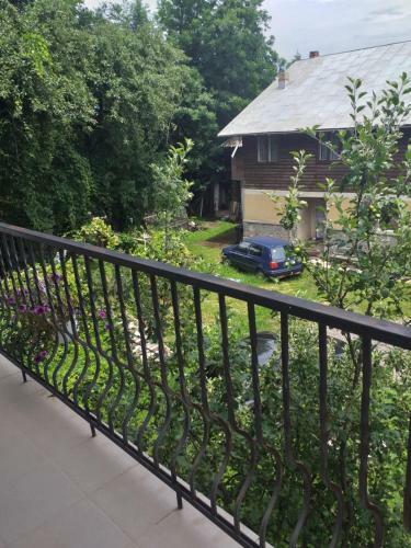 Hostal Vila Elena Si Ionut