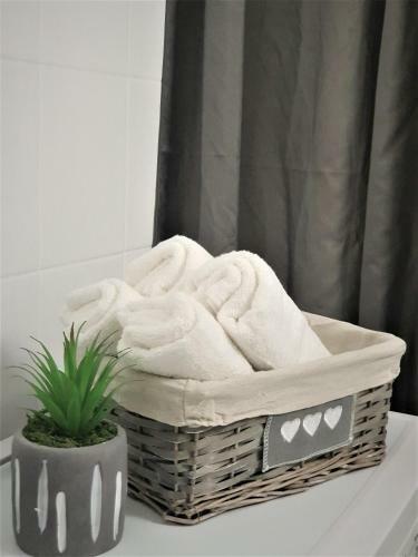Apartamento Studio Central Exer V