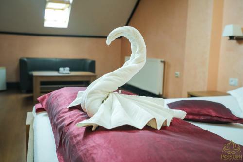 Hostal Pensiunea Passion Club