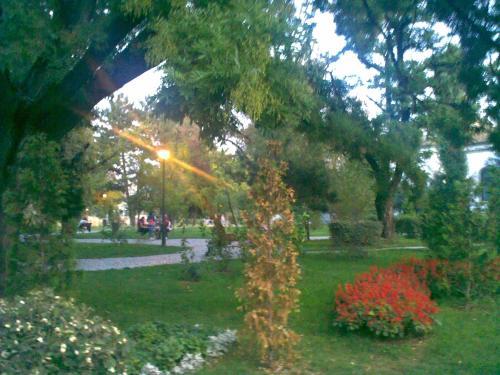 Victoriei Square Apartment