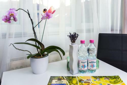 Bed & Breakfast Cazare de Mijloc