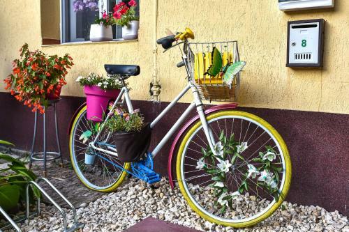 Bed & Breakfast Cazare de Mijloc