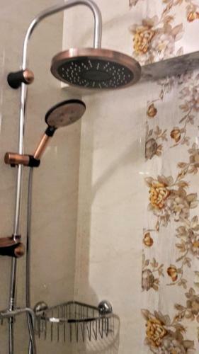 Apartamento Kronstadt Studio