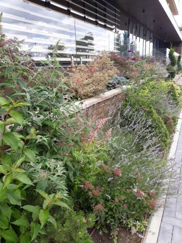 Apartamento Sweet Garden Residence