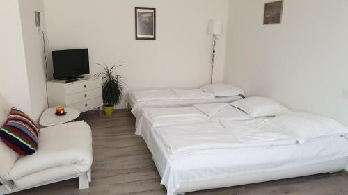 Apartament Schiller 58