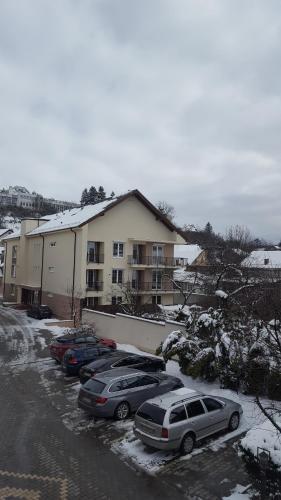 Apartament Schiller 58