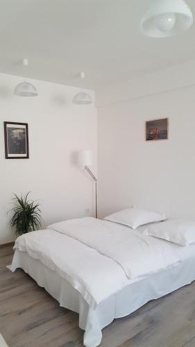 Apartament Schiller 58