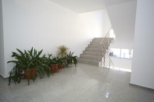 Apartamento Studio Andrei