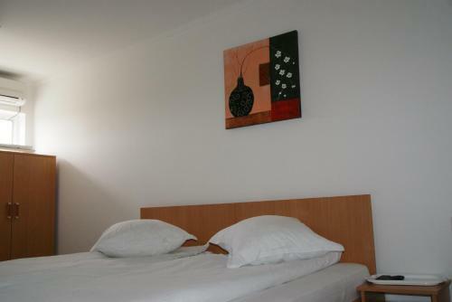 Hostal Pensiunea Bujorul
