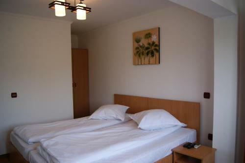 Hostal Pensiunea Bujorul
