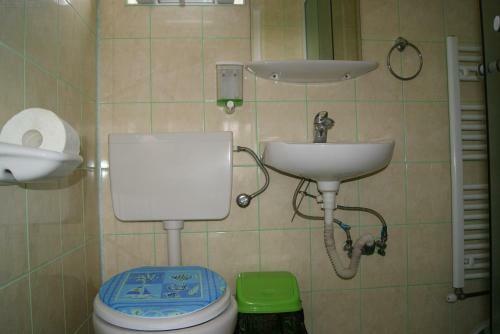 Hostal Pensiunea Bujorul
