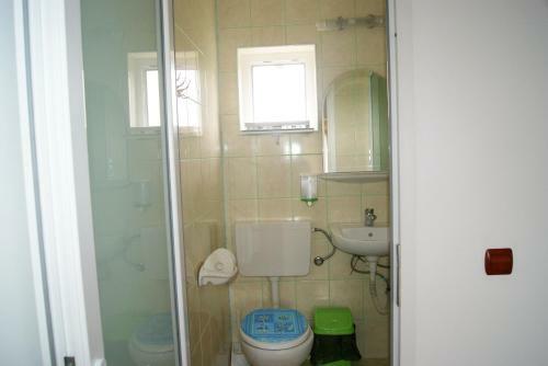 Hostal Pensiunea Bujorul
