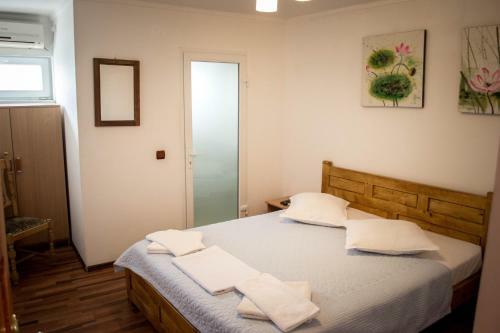 Hostal Pensiunea Bujorul