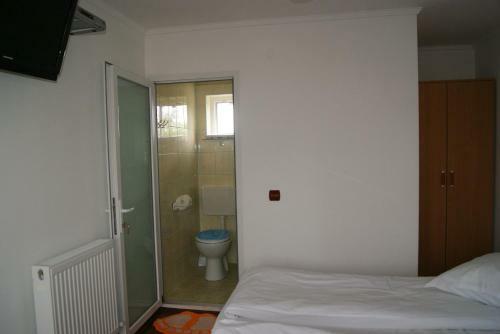 Hostal Pensiunea Bujorul