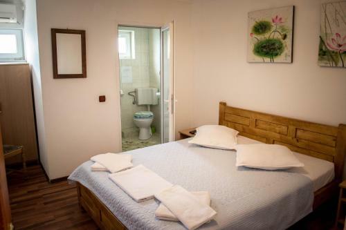 Hostal Pensiunea Bujorul