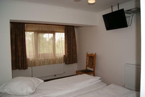 Hostal Pensiunea Bujorul