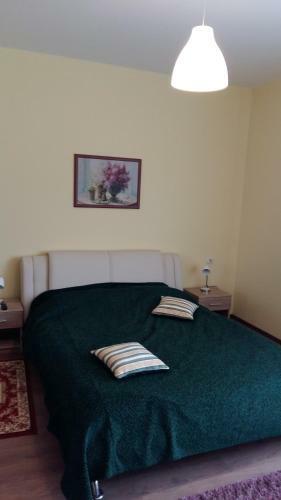 Hostal Pensiune-restaurant Caraiman