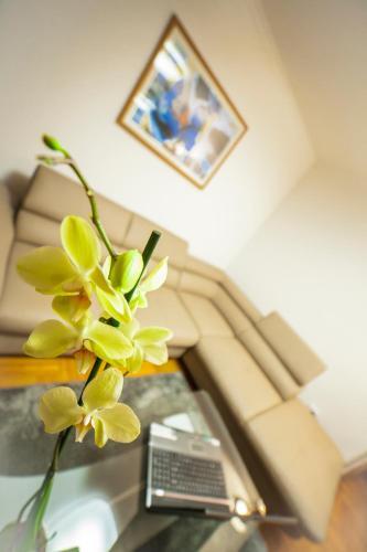 Apartamento Business Class Penthouse