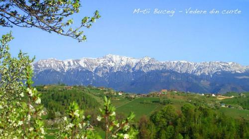 Bed & Breakfast Pension Nea Marin