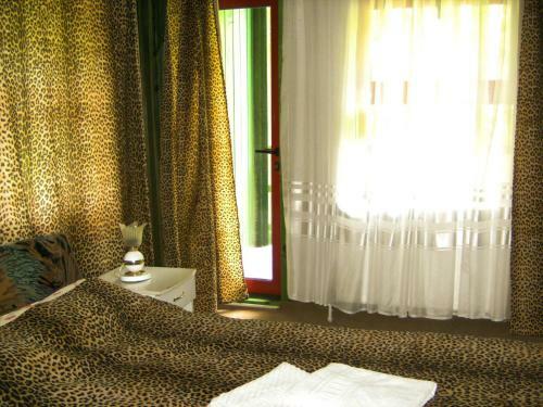 Hostal Barlogul Ursilor Lepsa