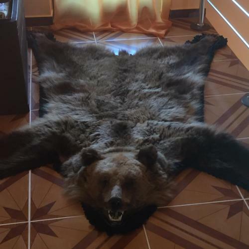 Hostal Becze Vanda Vendeghaz