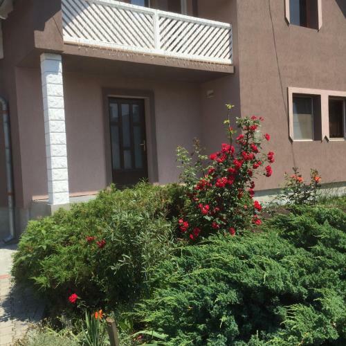 Hostal Becze Vanda Vendeghaz