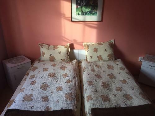 Hostal Becze Vanda Vendeghaz
