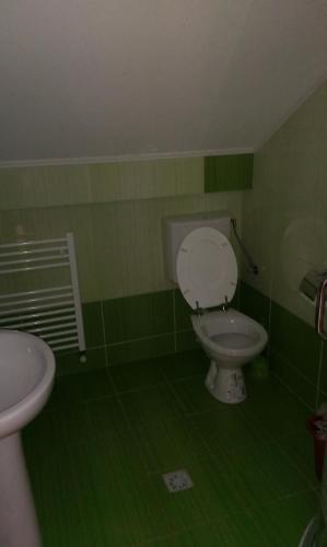 Hostal Pensiunea Alex Si Tedi
