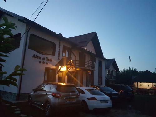 Hostal Pensiunea Alex Si Tedi