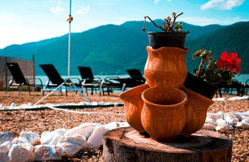 Hotel Clisura Dunarii- Danube Village Resort