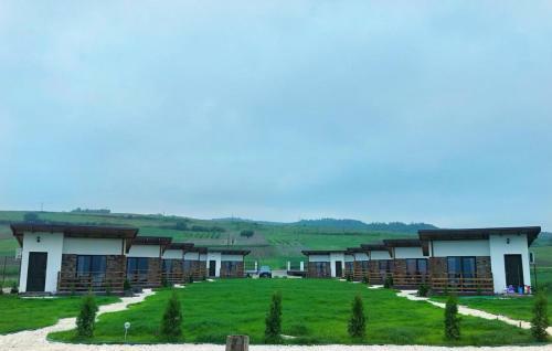 Hotel Clisura Dunarii- Danube Village Resort