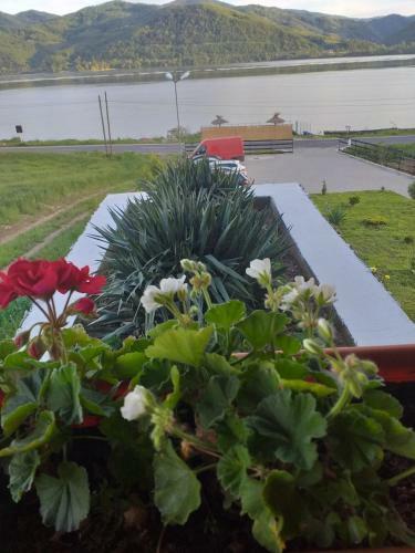 Agroturismo Villa Rustica