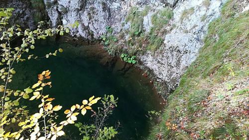 Hostal Pensiunea Izbucul Tauz
