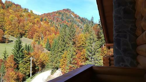 Hostal Pensiunea Izbucul Tauz